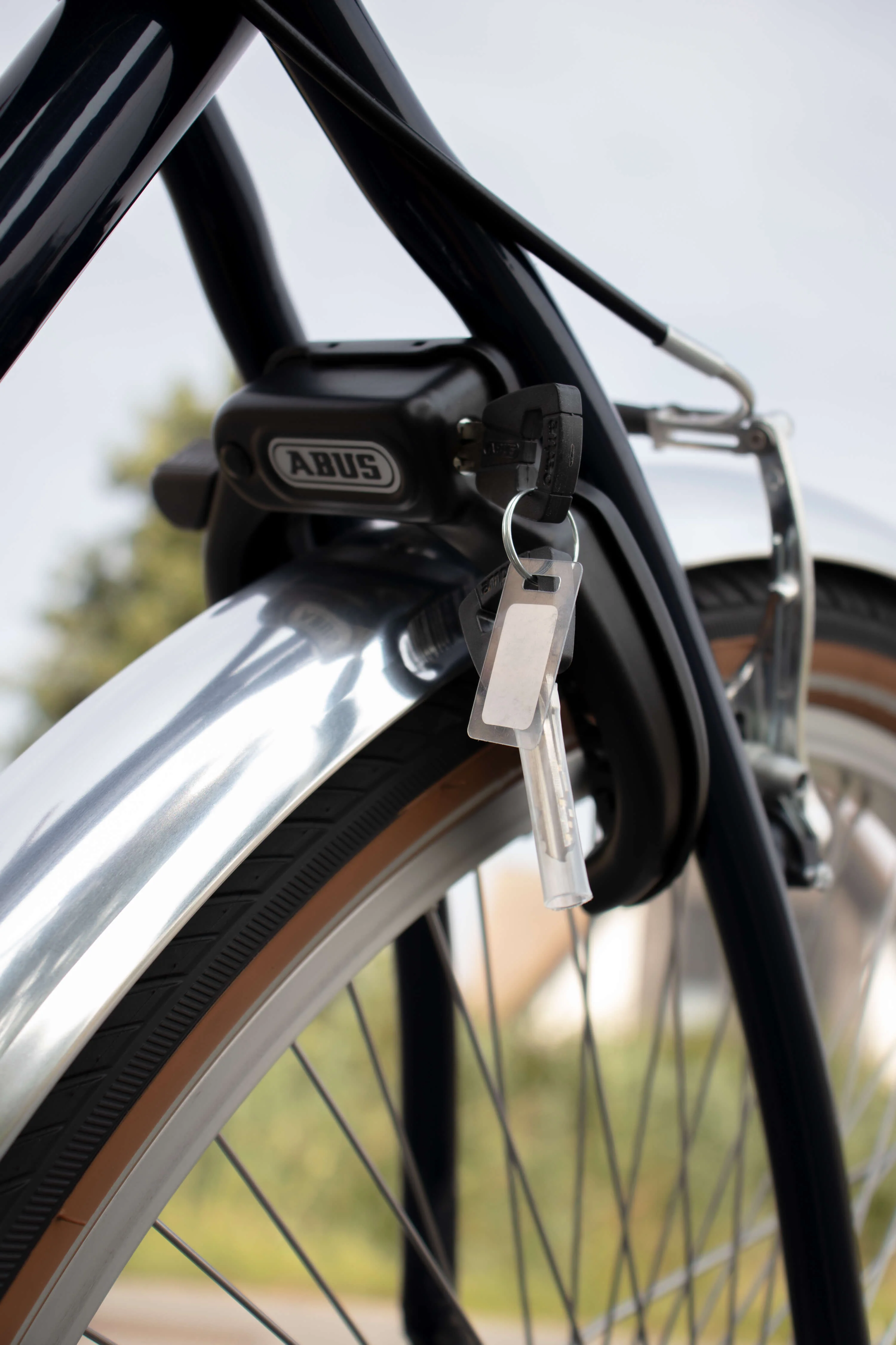 Beach Cruiser - Sinatra High - Image 6